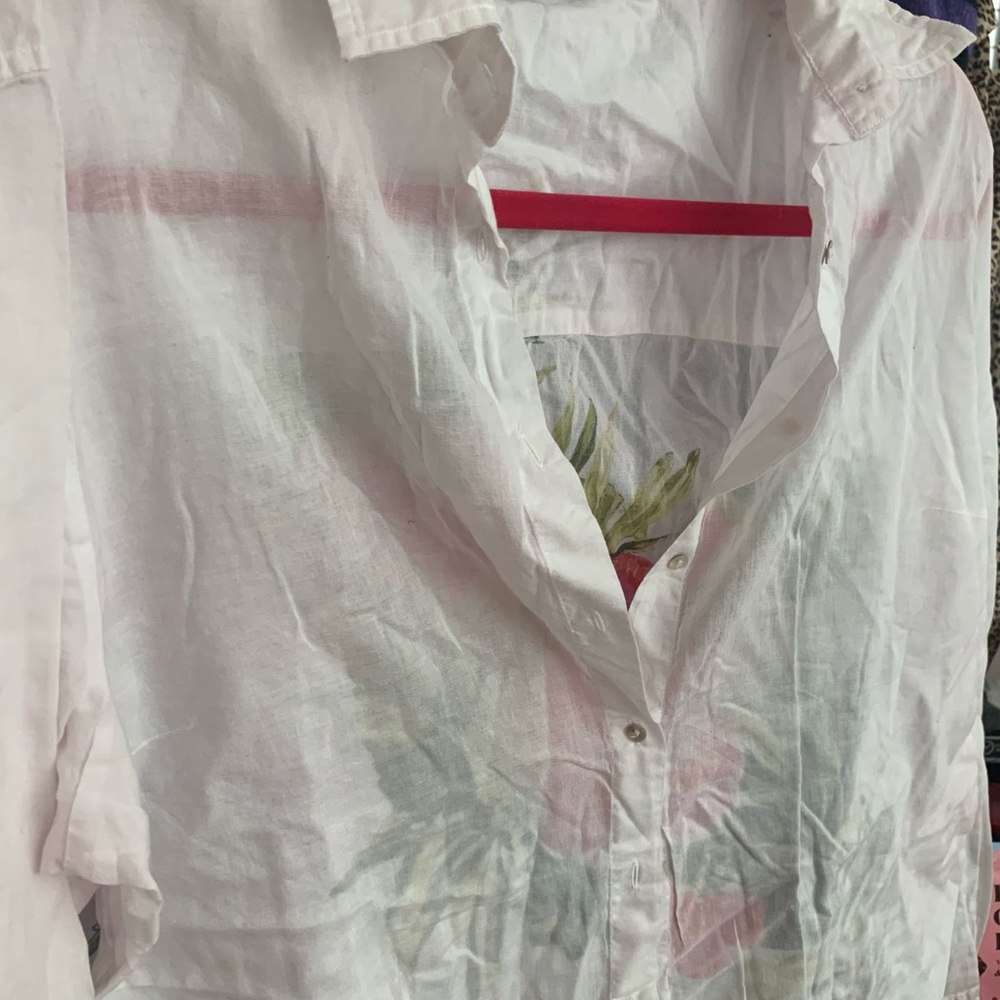 Zara White Sheer Button-Down with Faint Pink Stripe
